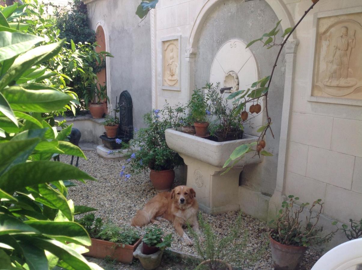 Appartement Tout Confort Avec Terrasse Νίκαια Εξωτερικό φωτογραφία